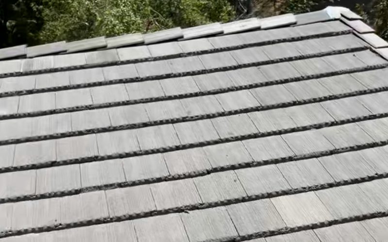Full flat-profile concrete tile roof plane running corner to corner up to the ridge course, with mortared head-lap joints, weathered tile courses, the rake edge at left and surrounding tree canopy defining the roof edge.